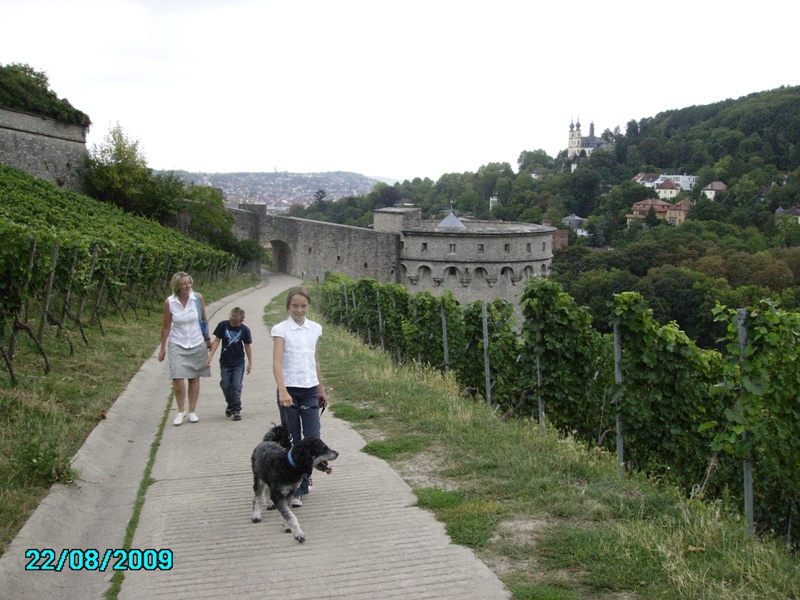 Dezember 2008 141.jpg